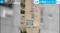 話題の動画ニュース - 9階からダイブ! アライグマの運命は... (11日配信) | 動画視聴は【Abemaビデオ(AbemaTV)】