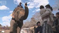 ガソリン200円超えが行楽地直撃　マイカー客減少、無料送迎バスの予約は倍以上　