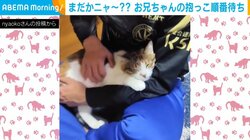 みんな行儀が良い!! 猫が抱っこを“仲良く”順番待ちする姿に「尊いです」「幸せいっぱい」とほっこり