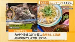 1匹4000円　7万種も！　武器・擬態で魅せる“生きた宝石”　エビ＆カニの世界