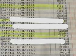 「しかも16件も」  ものまねタレント、 明細書を見てカードの不正利用被害が発覚