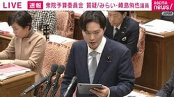 選挙のネット投票「まず在外投票で実証実験は？」チームみらい・峰島氏が初質疑