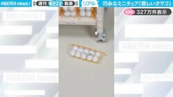 卵パックが落下…“悲しい光景”をミニチュアで再現した作品に「買取ですね…はよ帰って使わないと」「指が映ってないと本物にしか見えない」