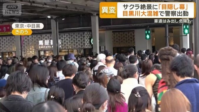 中目黒駅を出てすぐの横断歩道