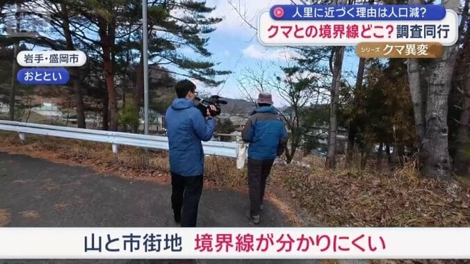 自然との境界線が分かりにくい