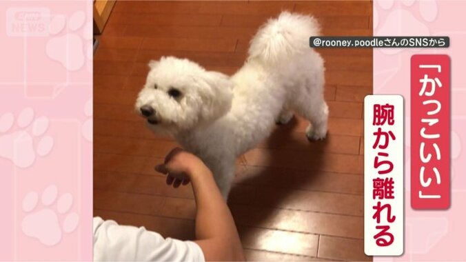 「かっこいい」いただきました