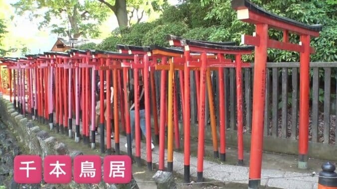 千本鳥居