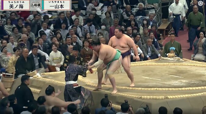 行司あわやの玉突きハプニング