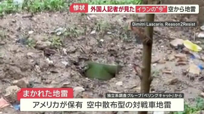 空からまかれた地雷