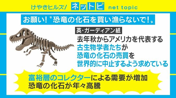 セレブの“化石集め”に学者らが「売買中止」訴え、歴史学者「気持ちはもの凄くわかる」 1枚目