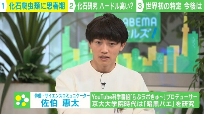 世界初！ 化石爬虫類の「思春期」を特定 化石から「ケイチョウサウルス」の生態に迫るロマンとは？ 1枚目