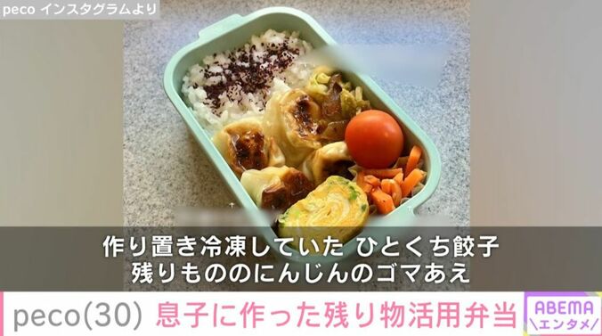 peco Instagramより