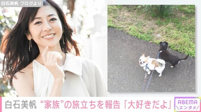 白石美帆、愛犬2匹との別れを報告「ぽかぽかあたたかな天国で、思いっきり走り回ってくれたらな」 1枚目