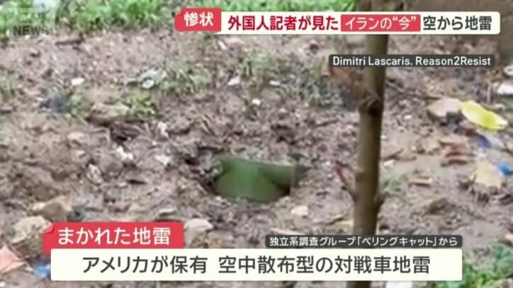 空からまかれた地雷