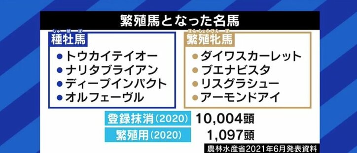 「走れなくなっただけでお肉にしてしまうのはもったいない」馬刺し・家畜の餌になるケースも…競走馬、年間1万頭の“余生”を考える