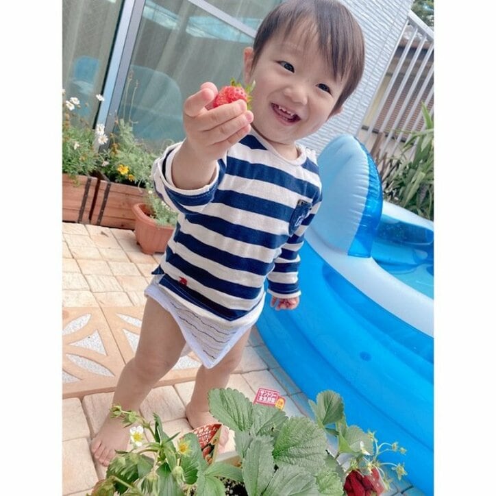 辻希美、三男が自宅でいちごを収穫し“ドヤ顔”「赤くなった苺　がすーぐわかる」