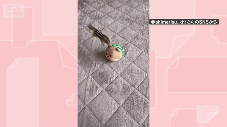 ボールに飛びつく