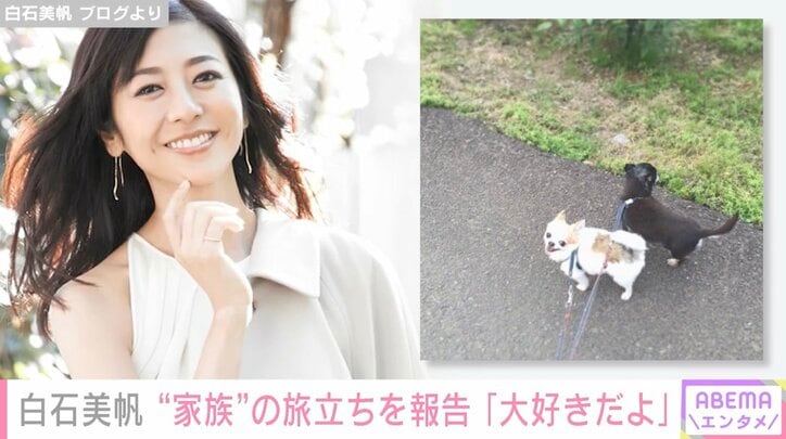 白石美帆、愛犬2匹との別れを報告「ぽかぽかあたたかな天国で、思いっきり走り回ってくれたらな」