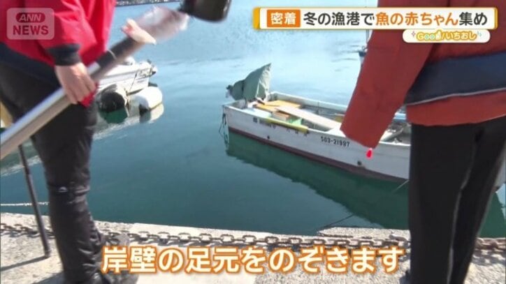 「船に乗るわけではない」