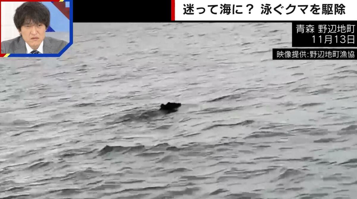 14年間巡り会えたことはない」クマが海上で“想定外の行動”…ハンターも