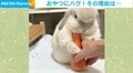 「これは私のモノ！」オヤツの人参をハグしたまま食べるうさぎに反響
