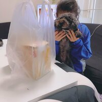 日菜あこ『「魔法の言葉」を使う受験生の娘』