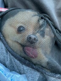 りぽぽ『涙が…』