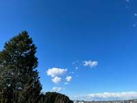 薬丸裕英『義父のお墓参り』