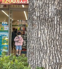 宮崎謙介『買い物結果』