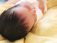 ニッチェ 江上敬子『やっぱりフサフサ!』