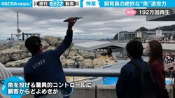 飼育員がセイウチに“鬼肩”の魚レーザービーム！ 「阪神のスカウトマン見てるか？」ネット騒然