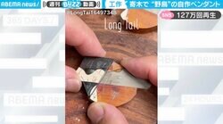 木片をつなぎ合わせて作る“野鳥” 寄木の製造工程に見惚れる人続出「可愛く仕上がるところが面白い」