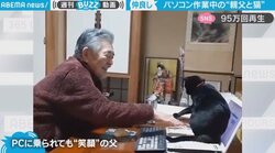 猫にパソコン作業を妨害されても“笑顔”の父 微笑ましいスローライフに癒やされる人続出