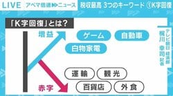 コロナ禍で“過去最高”の税収も…素直に喜べない要因 “3つのキーワード”が示す格差