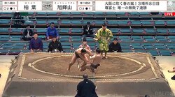 力士が土俵下に転落で館内騒然→見事な受け身に拍手喝采 驚異の身体能力に驚きと安堵が交錯