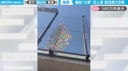 「大漁！」巨人軍の新球場で、防球ネットに引っ掛かった“大量の風船”に「スイミーみたい」「カールじいさんの空飛ぶ家かと笑」