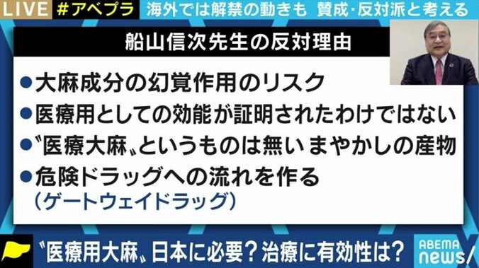 所持での検挙数が過去最多…日本でも「医療用大麻」を認めるべきなのか?賛成派・反対派の意見は 7枚目