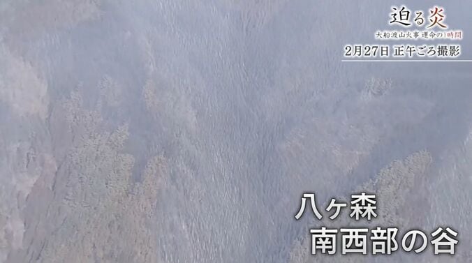 八ヶ森 南西部の谷