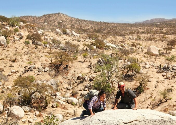 不法入国者を犬が襲う　過激な話題作『ノー・エスケープ 自由への国境』より衝撃シーン公開 3枚目