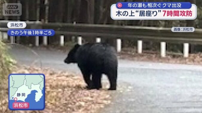 体長約1メートル