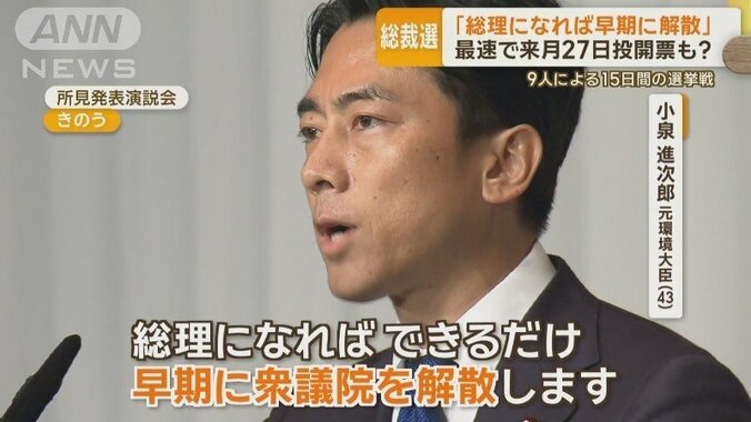 解散総選挙を明言