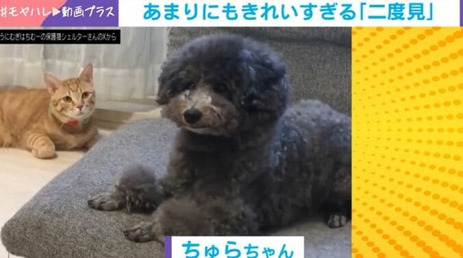 ちゅらちゃん