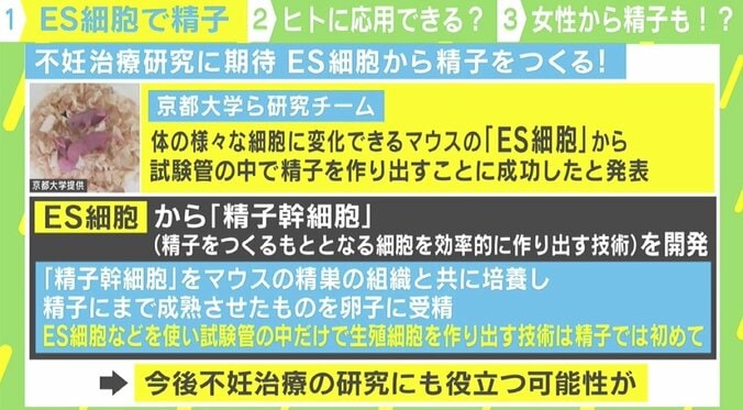 「ES細胞」で女性同士の子どもが出産可能に？ 専門家「ヒトへの応用はまだ」 2枚目