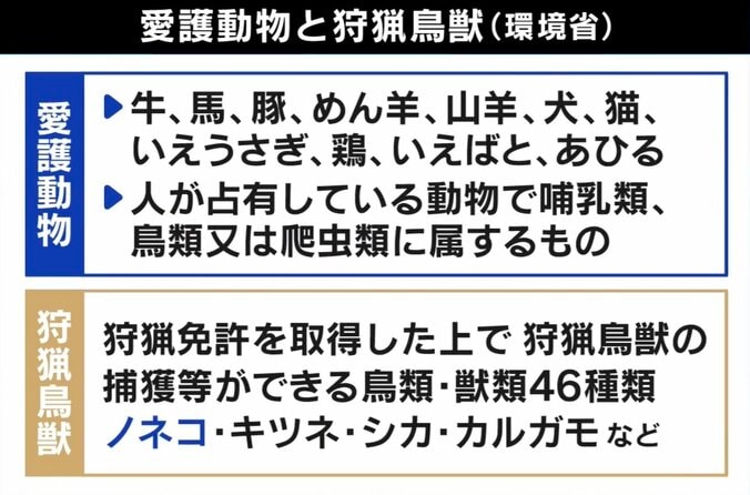 「スーパーで食べる肉にだって同じ命があった」狩猟は残酷？ 東出昌大と考える“いのちの食べ方” 2枚目