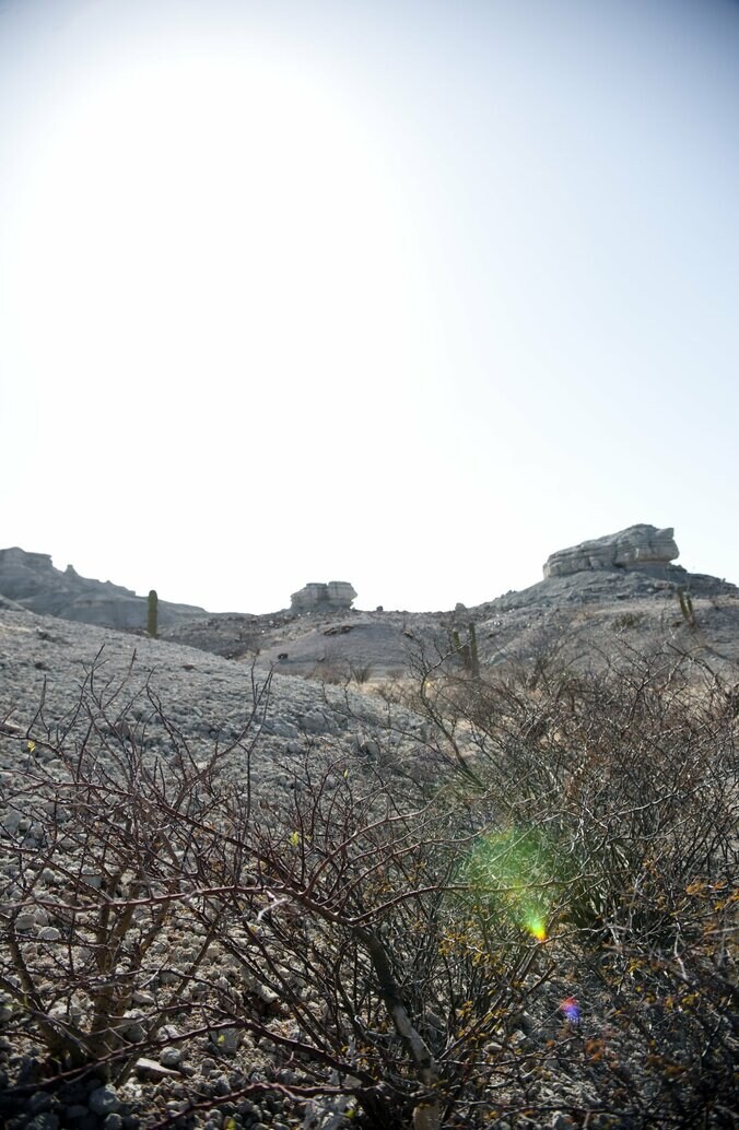 アメリカ=メキシコ間の国境問題を描く衝撃作『ノー・エスケープ 自由への国境』　過酷なロケ地写真を公開 6枚目