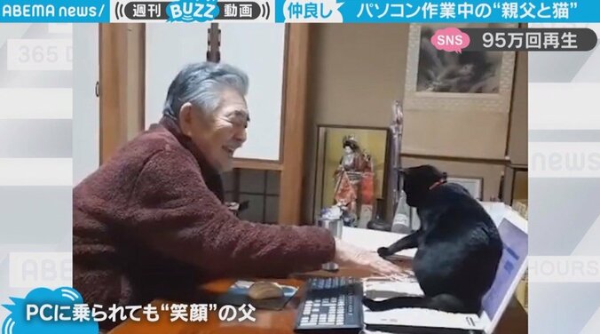 猫にパソコン作業を妨害されても“笑顔”の父 微笑ましいスローライフに癒やされる人続出 1枚目