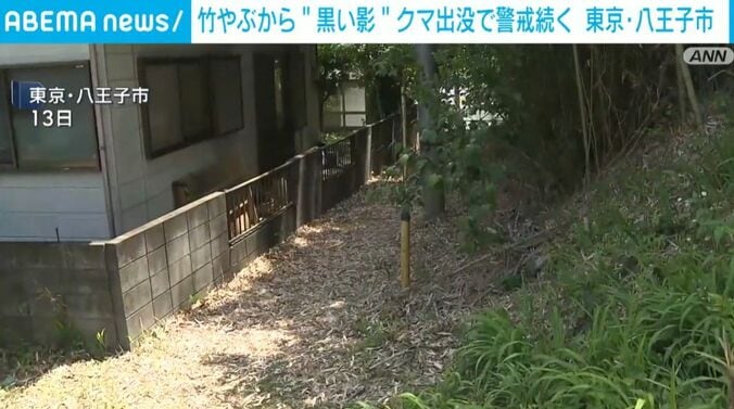 クマが出没した場所