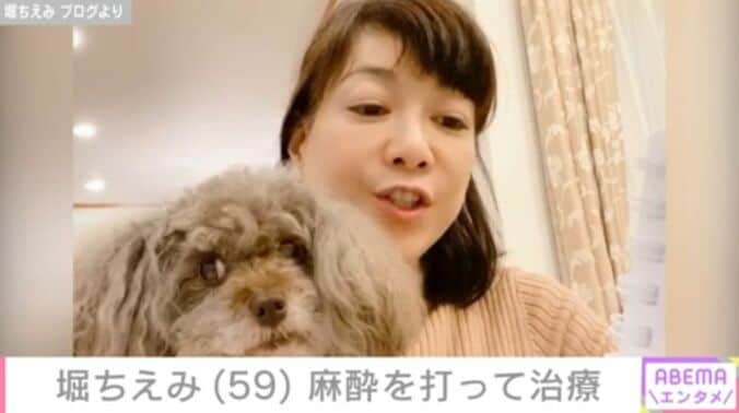 堀ちえみ