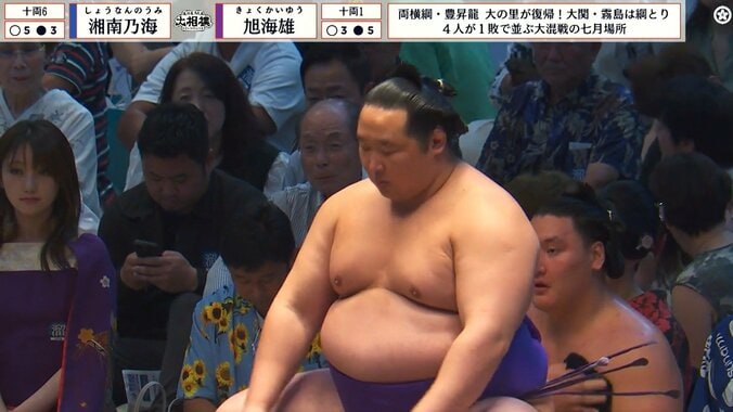 「あの美人さん去年もいた」大相撲、“新・溜席の妖精”が再降臨で話題 「お召し物が個性的」「姿勢キレイ」 2枚目