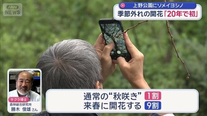 春も咲く？